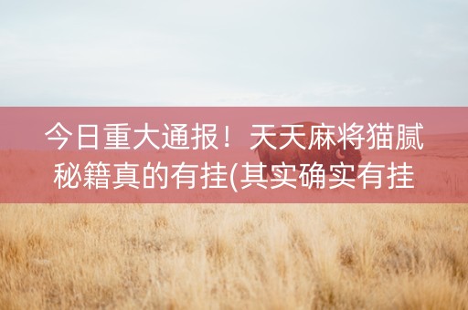 今日重大通报！天天麻将猫腻秘籍真的有挂(其实确实有挂)