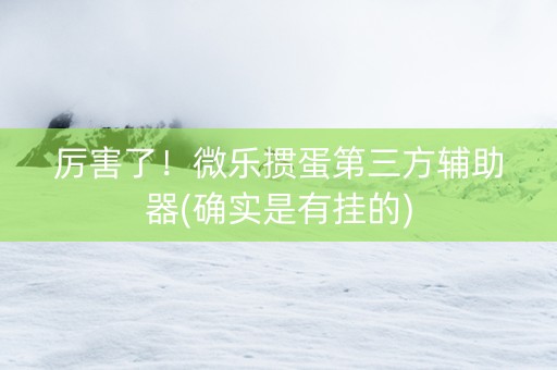 厉害了！微乐掼蛋第三方辅助器(确实是有挂的)