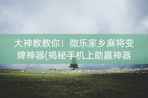 大神教教你！微乐家乡麻将变牌神器(揭秘手机上助赢神器购买)