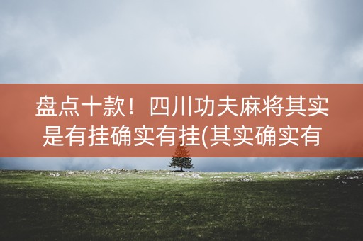 盘点十款！四川功夫麻将其实是有挂确实有挂(其实确实有挂)