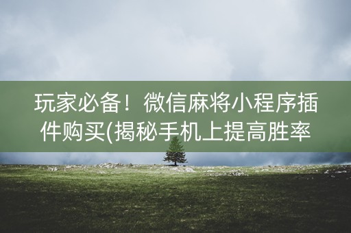 玩家必备！微信麻将小程序插件购买(揭秘手机上提高胜率)