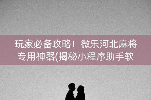 玩家必备攻略！微乐河北麻将专用神器(揭秘小程序助手软件)