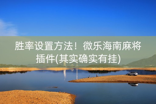 胜率设置方法！微乐海南麻将插件(其实确实有挂)