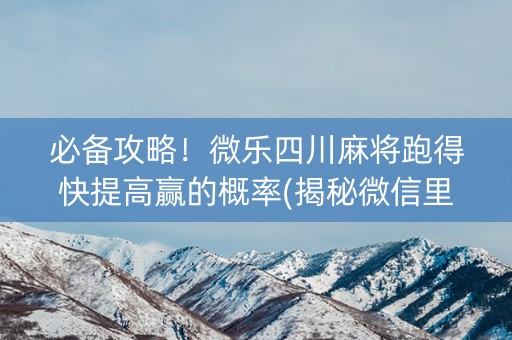 必备攻略！微乐四川麻将跑得快提高赢的概率(揭秘微信里助赢软件)
