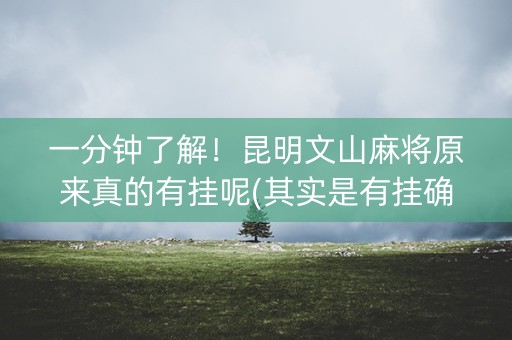 一分钟了解！昆明文山麻将原来真的有挂呢(其实是有挂确实有挂)