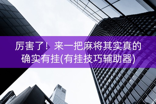 厉害了！来一把麻将其实真的确实有挂(有挂技巧辅助器)