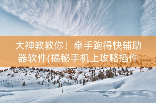 大神教教你！牵手跑得快辅助器软件(揭秘手机上攻略插件)