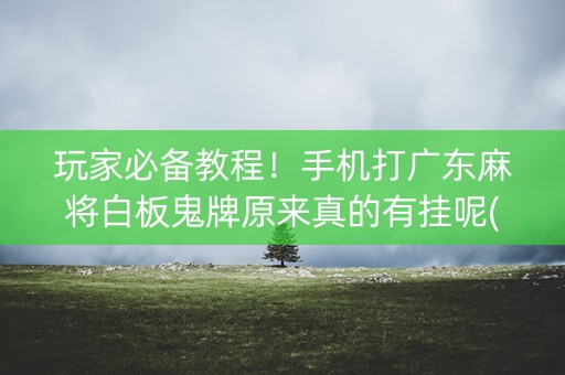 玩家必备教程！手机打广东麻将白板鬼牌原来真的有挂呢(确实有挂)