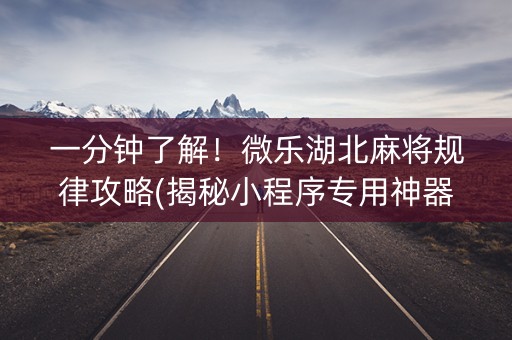一分钟了解！微乐湖北麻将规律攻略(揭秘小程序专用神器)