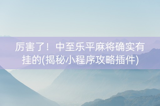 厉害了！中至乐平麻将确实有挂的(揭秘小程序攻略插件)