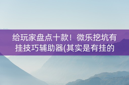 给玩家盘点十款！微乐挖坑有挂技巧辅助器(其实是有挂的)
