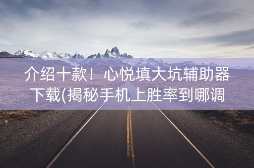 介绍十款！心悦填大坑辅助器下载(揭秘手机上胜率到哪调)