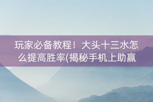 玩家必备教程！大头十三水怎么提高胜率(揭秘手机上助赢神器)