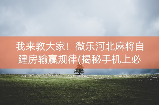 我来教大家！微乐河北麻将自建房输赢规律(揭秘手机上必备神器)