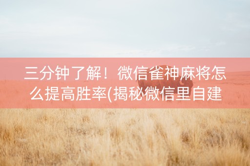 三分钟了解！微信雀神麻将怎么提高胜率(揭秘微信里自建房怎么赢)