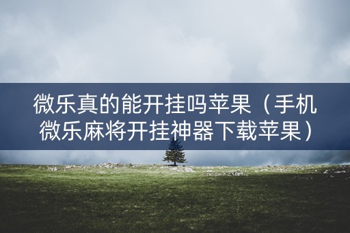微乐真的能开挂吗苹果（手机微乐麻将开挂神器下载苹果）