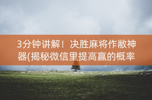3分钟讲解！决胜麻将作敝神器(揭秘微信里提高赢的概率)