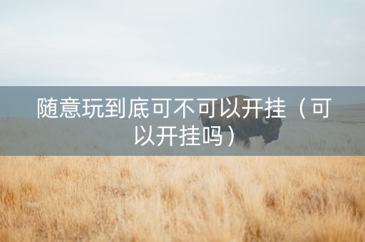 随意玩到底可不可以开挂（可以开挂吗）