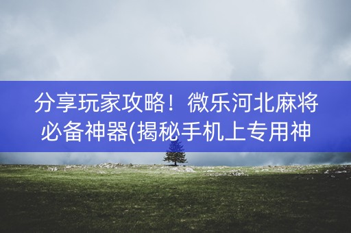 分享玩家攻略！微乐河北麻将必备神器(揭秘手机上专用神器)