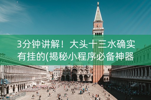 3分钟讲解！大头十三水确实有挂的(揭秘小程序必备神器)