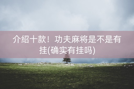 介绍十款！功夫麻将是不是有挂(确实有挂吗)