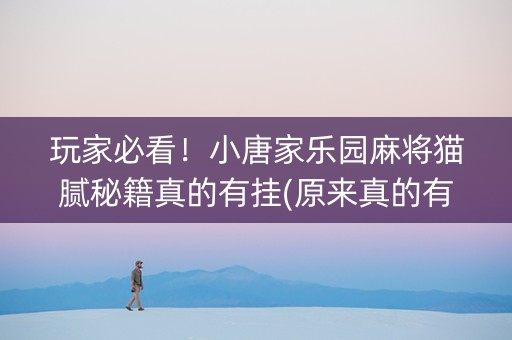 玩家必看！小唐家乐园麻将猫腻秘籍真的有挂(原来真的有挂)