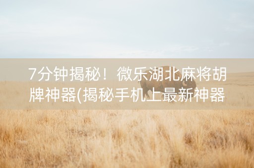 7分钟揭秘！微乐湖北麻将胡牌神器(揭秘手机上最新神器下载)