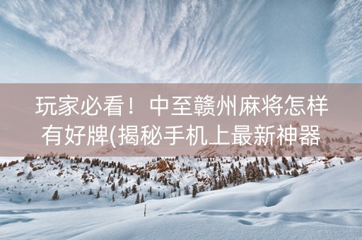 玩家必看！中至赣州麻将怎样有好牌(揭秘手机上最新神器下载)