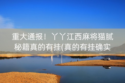 重大通报！丫丫江西麻将猫腻秘籍真的有挂(真的有挂确实有挂)