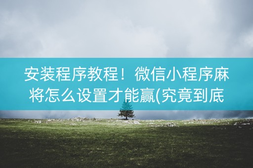 安装程序教程！微信小程序麻将怎么设置才能赢(究竟到底有挂吗)
