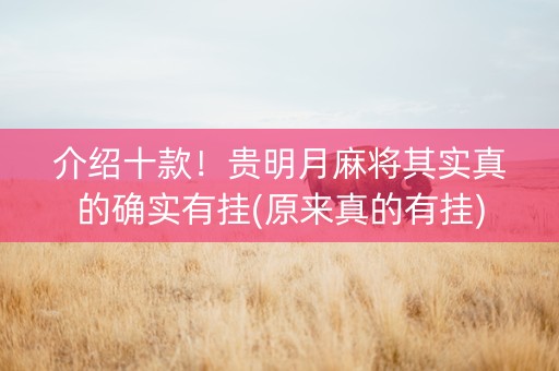 介绍十款！贵明月麻将其实真的确实有挂(原来真的有挂)