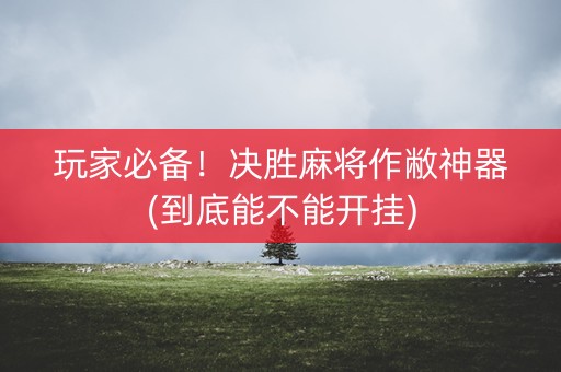 玩家必备！决胜麻将作敝神器(到底能不能开挂)