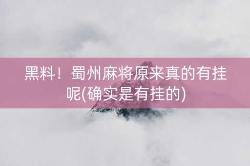 黑料！蜀州麻将原来真的有挂呢(确实是有挂的)