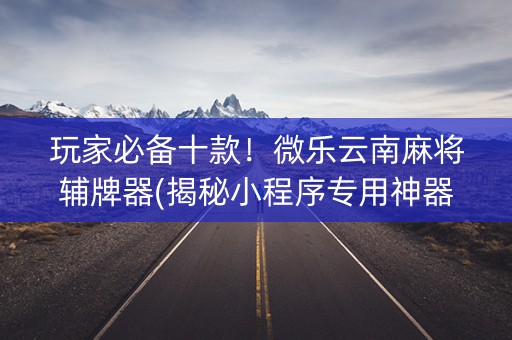 玩家必备十款！微乐云南麻将辅牌器(揭秘小程序专用神器)