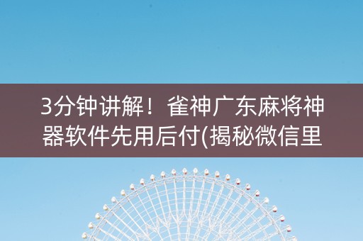 3分钟讲解！雀神广东麻将神器软件先用后付(揭秘微信里插件购买)