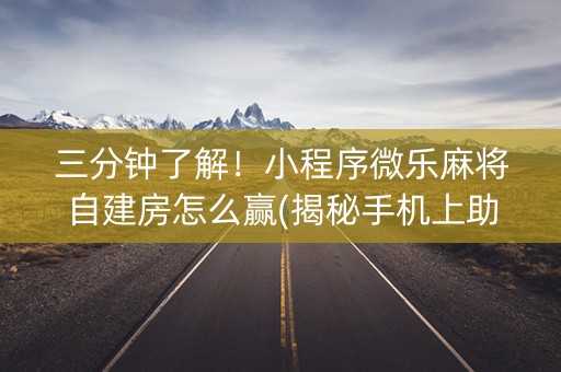 三分钟了解！小程序微乐麻将自建房怎么赢(揭秘手机上助赢软件)