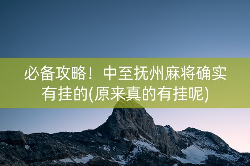 必备攻略！中至抚州麻将确实有挂的(原来真的有挂呢)