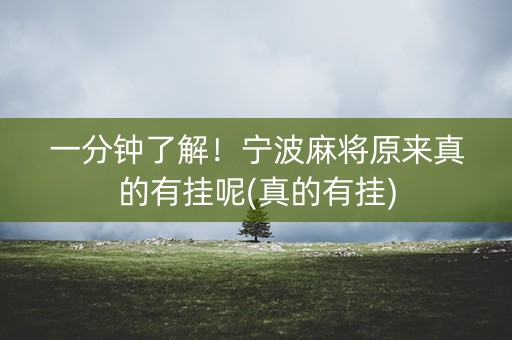 一分钟了解！宁波麻将原来真的有挂呢(真的有挂)