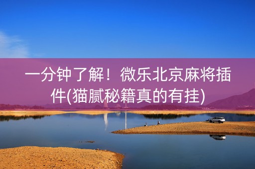 一分钟了解！微乐北京麻将插件(猫腻秘籍真的有挂)