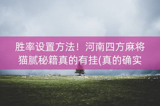 胜率设置方法！河南四方麻将猫腻秘籍真的有挂(真的确实是有挂)
