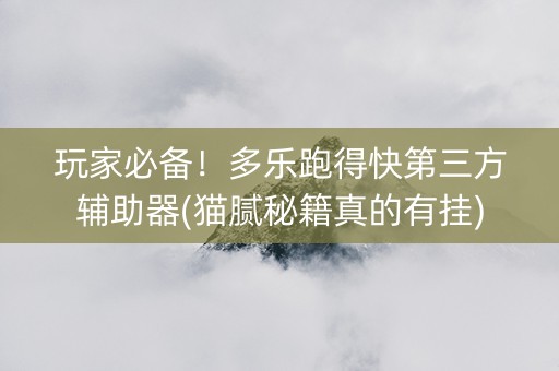 玩家必备！多乐跑得快第三方辅助器(猫腻秘籍真的有挂)