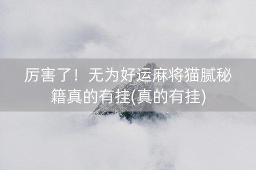 厉害了！无为好运麻将猫腻秘籍真的有挂(真的有挂)
