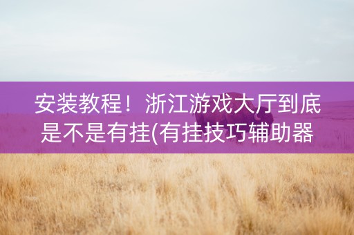 安装教程！浙江游戏大厅到底是不是有挂(有挂技巧辅助器)