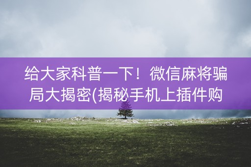 给大家科普一下！微信麻将骗局大揭密(揭秘手机上插件购买)