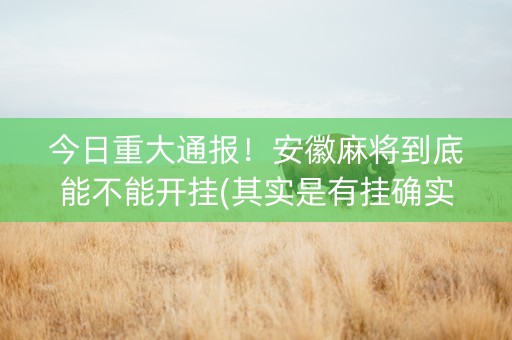 今日重大通报！安徽麻将到底能不能开挂(其实是有挂确实有挂)
