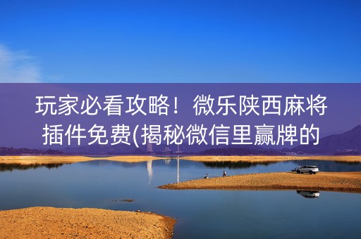 玩家必看攻略！微乐陕西麻将插件免费(揭秘微信里赢牌的技巧)