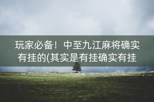 玩家必备！中至九江麻将确实有挂的(其实是有挂确实有挂)