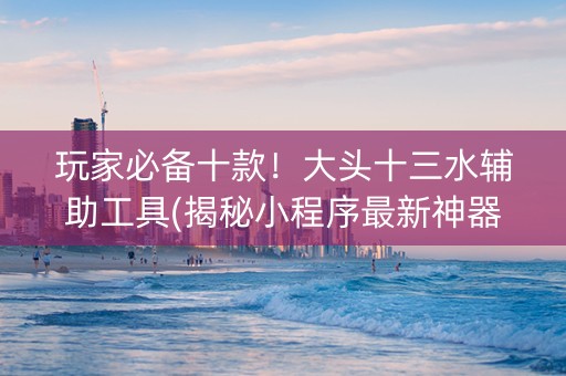 玩家必备十款！大头十三水辅助工具(揭秘小程序最新神器下载)