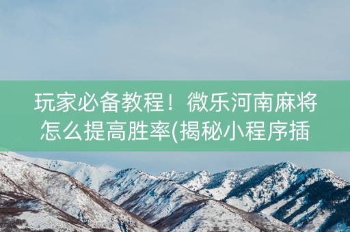 玩家必备教程！微乐河南麻将怎么提高胜率(揭秘小程序插件下载)