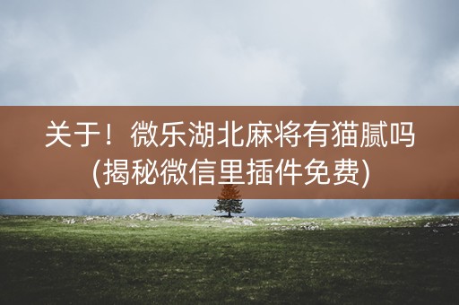 关于！微乐湖北麻将有猫腻吗(揭秘微信里插件免费)